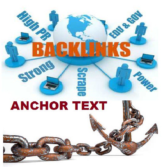 Step 14 : Backlinks and Anchor Text